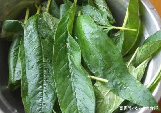 很多人把它当垃圾,我却拿它来做饺子,出锅后老公连吃40个不过瘾