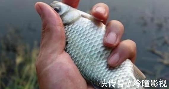 钓法|一遇走水就没法钓啦?按我说的方法钓,别人没口你连竿