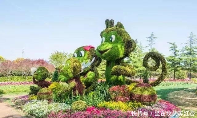 塑造|植物塑造出来的造型简直美炸了,你见过这样的植物吗?