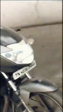 |搞笑GIF趣图:铲屎的,你放心,我一会就带你去天堂转转!