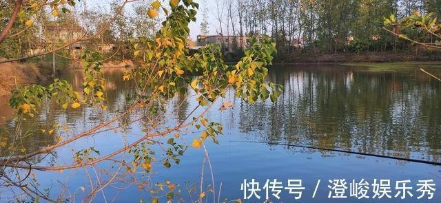 鱼塘|一条鱼没钓到,钓友被打出熊猫眼,围观者说:活该