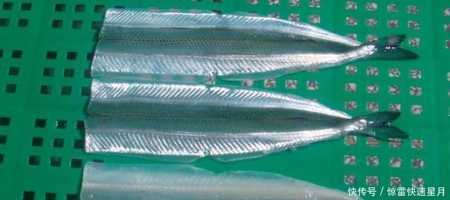 马步鱼营养价值极高,吃了它是怎样的体验