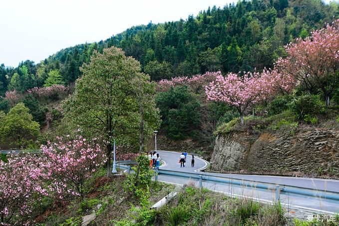 春日徒步旅行 探寻隐藏的小众秘境