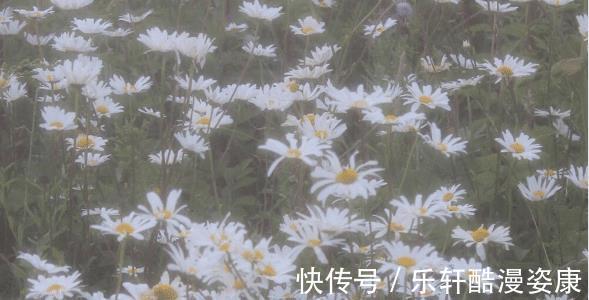 金牛座|思维灵活,想法犀利,这三个星座的人终将会暴富,擅长闷声发大财