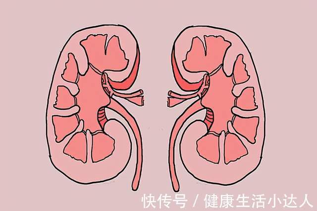 黑米|肾脏“透支”了,身体会亮起4个警示灯,男人不妨自检一下