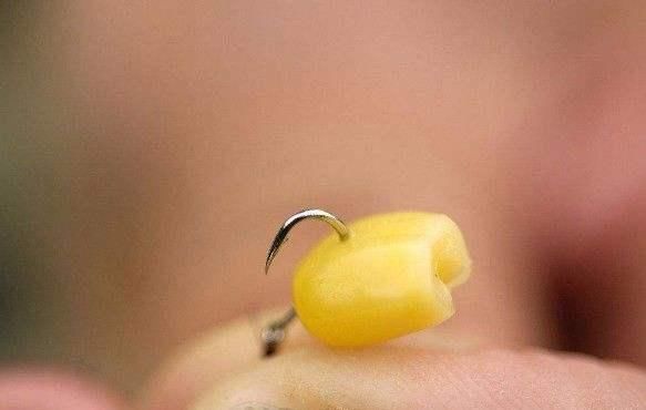 户外野钓,到底拿什么来钓鱼,才能钓得到,钓的多