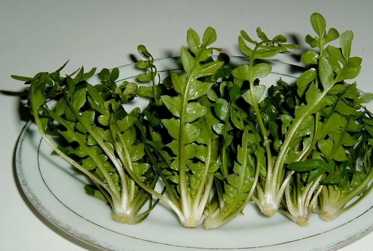 美容|爱美女性要坚持吃3种食物,美容养生、补益身体,早吃早好!