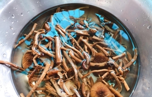 竹笙|朴素清淡的一碗汤,食材不简单,营养更丰富