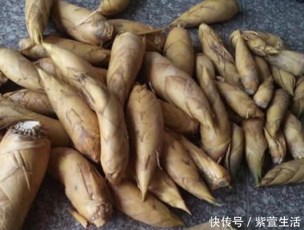 “天然叶酸”被找到了,每天吃两口,通乳散结,增生或“绕着走”