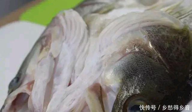 唯一|湘菜“剁椒鱼头”,唯一喜欢吃鱼头的一道菜,太好吃了