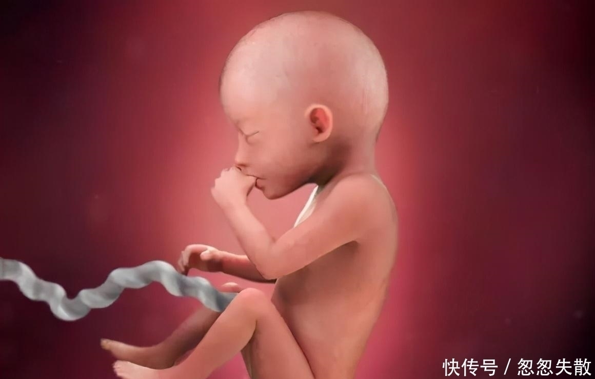 脐带|胎宝在妈妈肚子里无聊不?是时候告诉孕妈真相了,怪可爱的