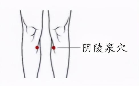 按摩|健康科普｜小暑养生，如何给身心“降温”？