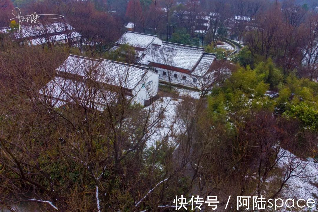 杭州|雪中游西溪，航拍视角下的湿地色彩极其丰富，但留下没几个游客