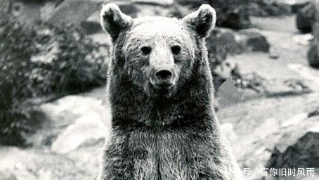 清朝|俄国战败后的赔偿是清朝的10倍多,看沙俄怎么做的,你敢想吗