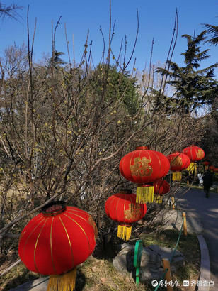 就地过年春在身边｜春节游玩正当时，济南百花公园好热闹