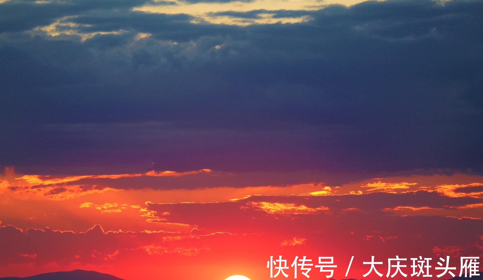 张九龄&王安石很经典的7首短诗,4首励志3首可爱,读来大有收获