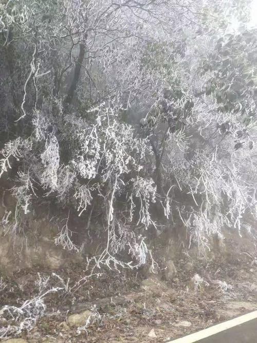 南方人在等雪，而这里没下雪却能看雪景。