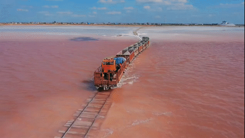 |搞笑GIF：小猫咪过来，喂你吃好东西