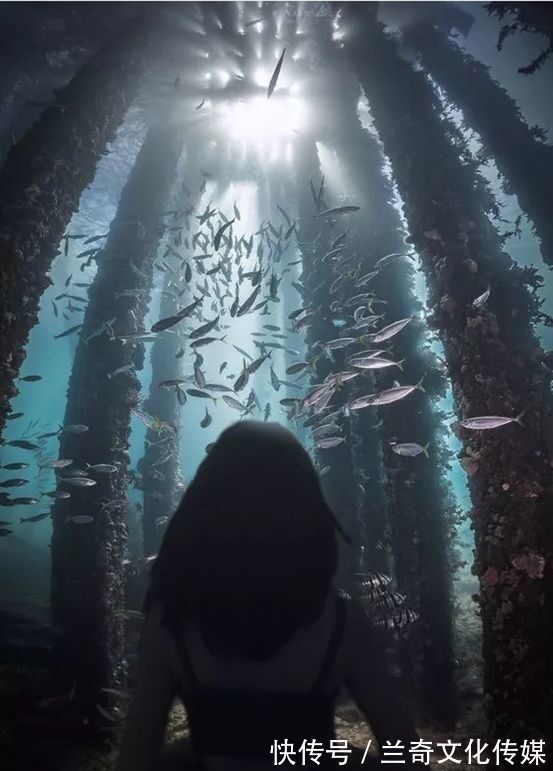 |PS搞笑恶搞:求大神换个比较美的背景