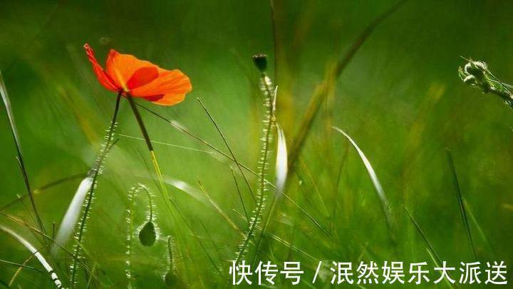 人生$写好一个“人”,只需两笔;做好一个人,却要一生