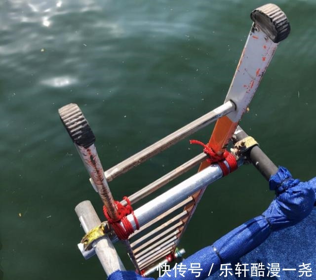 王涵|全红婵海边踩点!一身卡通元素,跳台简陋惹争议,竟然要爬扶梯