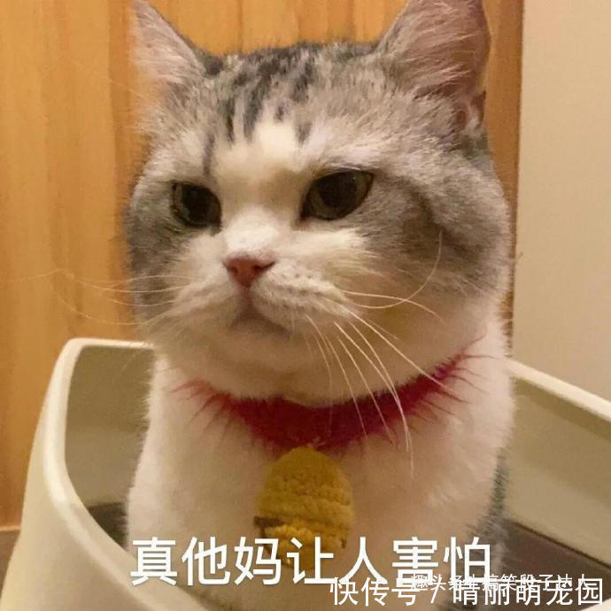 |搞笑段子:陪女客户爬山,问她坐会吧,她环顾四周,说了句