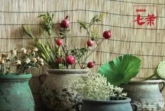 垃圾分类家中绿植垃圾分类我到底是个什么垃圾