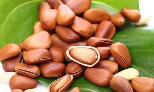 降脂|不想血管被堵死, 这些食物要常吃,清理血管垃圾,降压又降脂