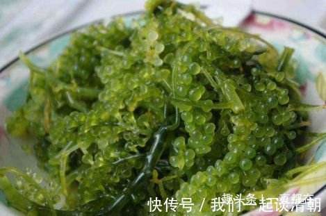 功效|农村人常吃些珍贵野菜,具有抗癌、抗肿瘤、增强免疫力等功效