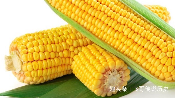 血管|不想血管“越来越硬”,那就多吃这几种食物!血管会越来越健康