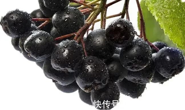 氨基酸|肾虚的人,请记住,晨起两坚持,晚上两不要,让肾慢慢强大起来