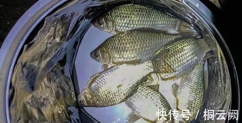 冬季野钓攻略，让你冬钓不迷茫！