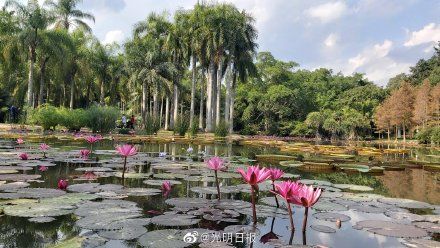 老年|葫芦岛蝶变科学岛之谜