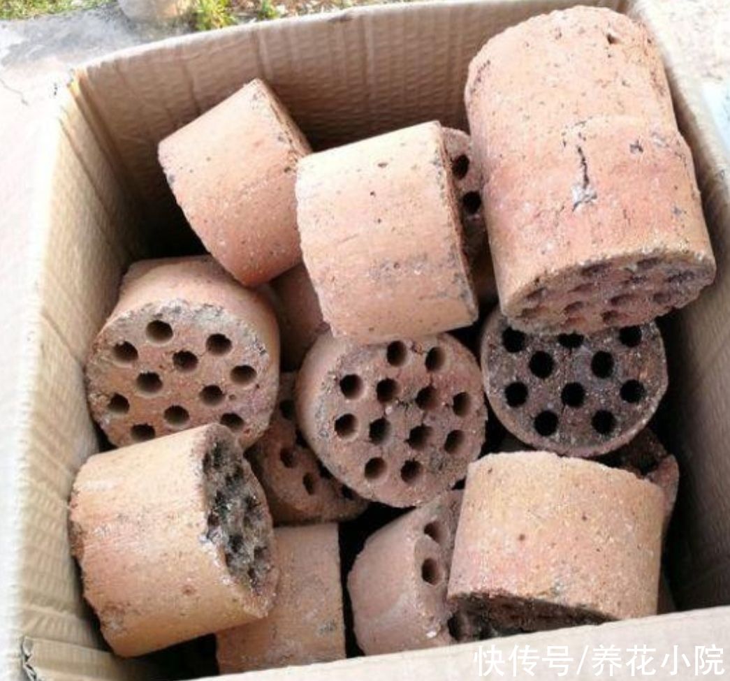栽植|盆土不透气，花盆里加上4种“小东西”，通透性好，花卉不烂根