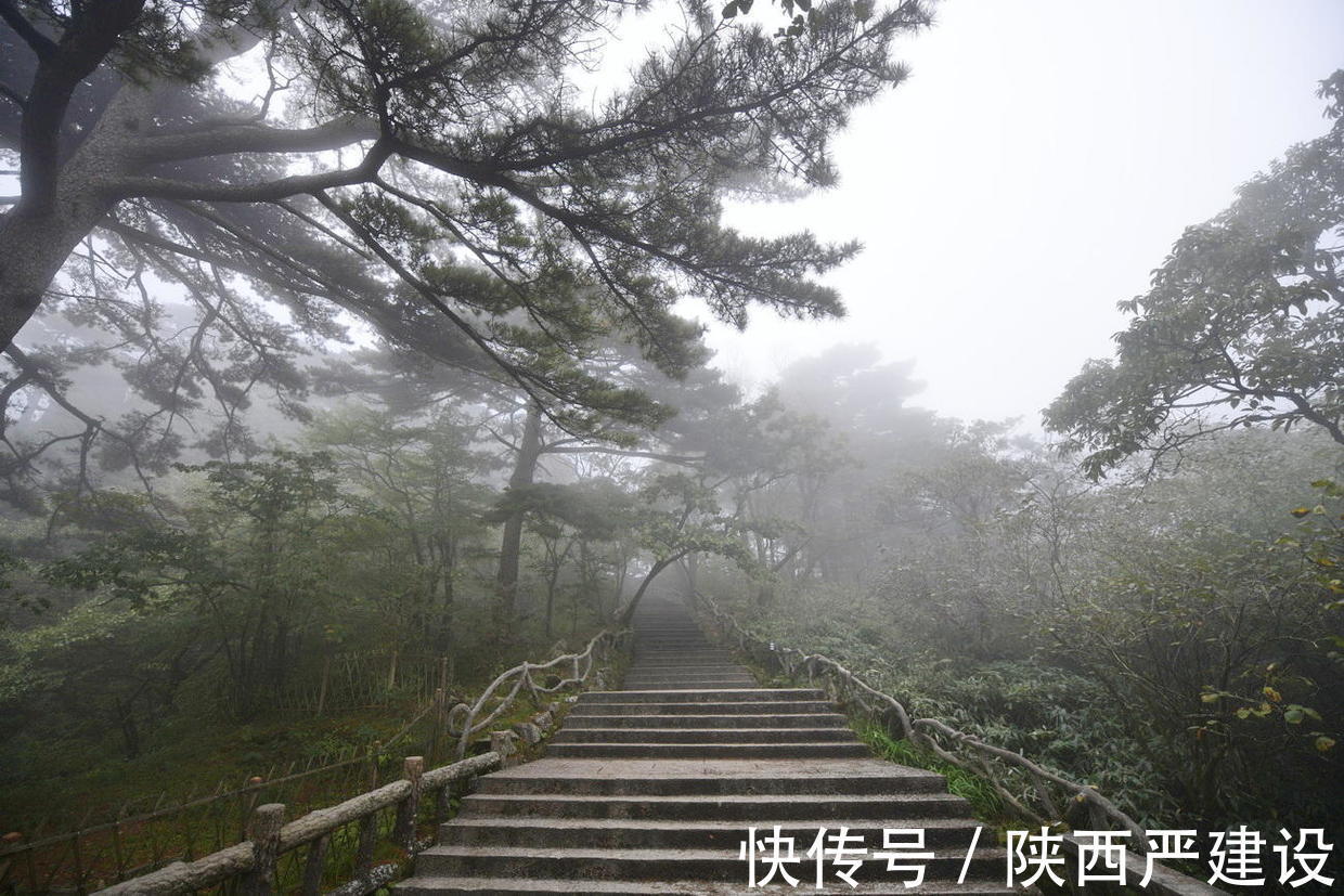 黄山|薄云浓雾游黄山宛若仙境【严建设】