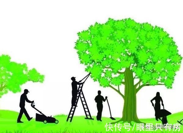 买房|谣言害死人!关于买房选房的5大谣言,谁信谁吃亏