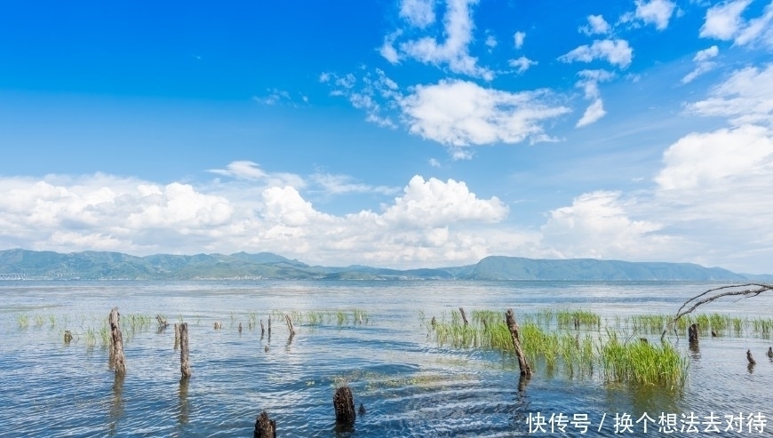 中年|洱海边最美的免费公园,非这座公园莫属