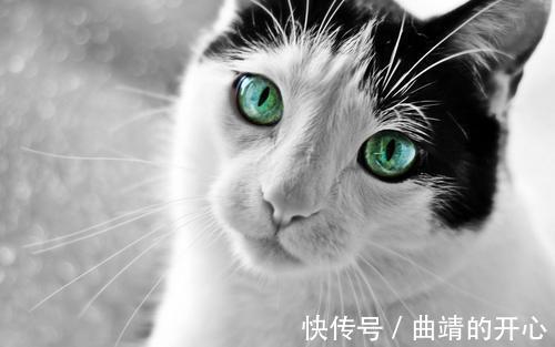 |幽默笑话:开学没几天口腔溃疡了 一开始忍了几天后来都没法吃饭