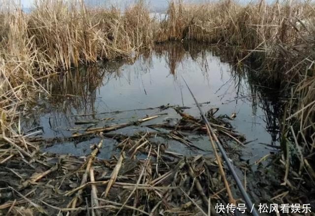冬季钓鲫鱼找到鱼是关键,3种方法让你找到鱼窝