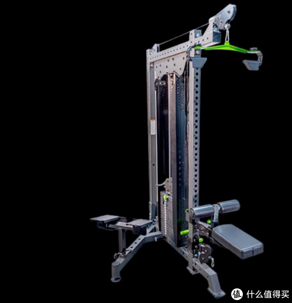 飞鸟|秋季健身滑轮系统飞鸟高低拉浅谈篇一