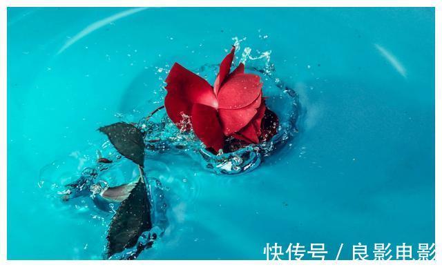 快穿之反派又黑化了|《快穿之反派又黑化了》:剧情有点老套,但真的上头。