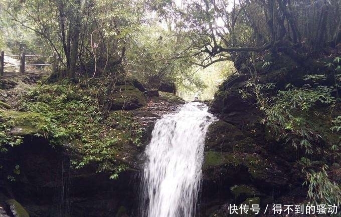 避暑|中国最美峡谷风景区-卧龙谷 最高的避暑休闲、清心养身的天然胜地