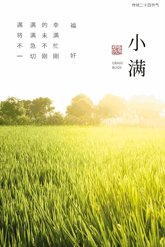 麦秋|【节气】小满，一个充满传统智慧的节气！