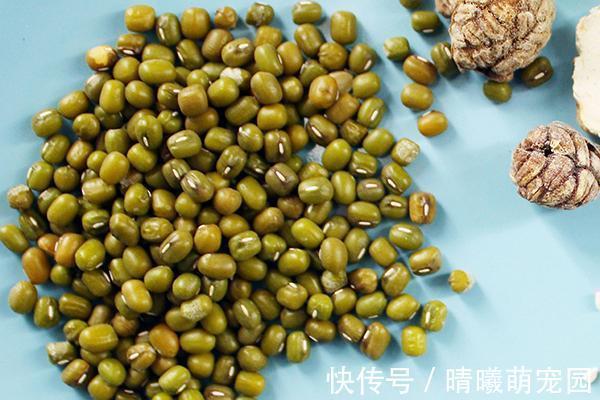 减肥方法|为了减肥,32岁女子一个月不吃米饭,她得到了什么?瘦了多少斤?