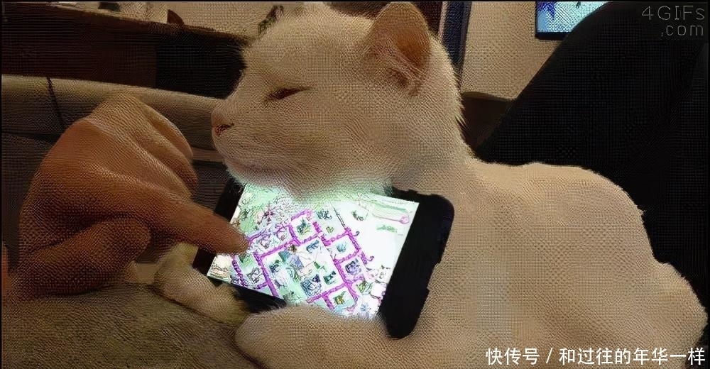 play|“玩手机”说成"play the phone",真的很滑稽!