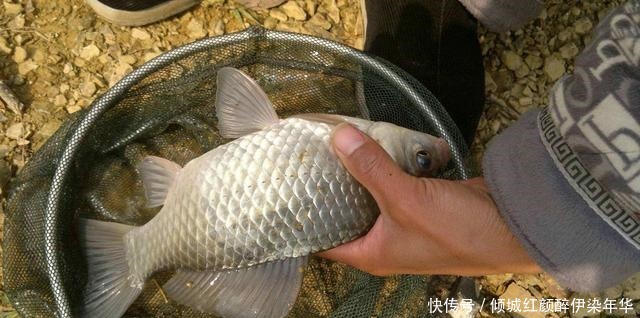 早春出钓时机最为重要，这几种天气错过你会错过很多渔获