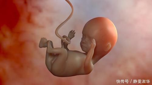 池川明|“我在一个很黑的房子里”,宝宝的宫内记忆,让妈妈瑟瑟发抖