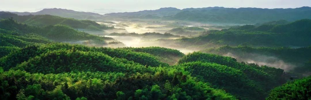 蜀南竹海景区那些传说!|不可不知 | 景区