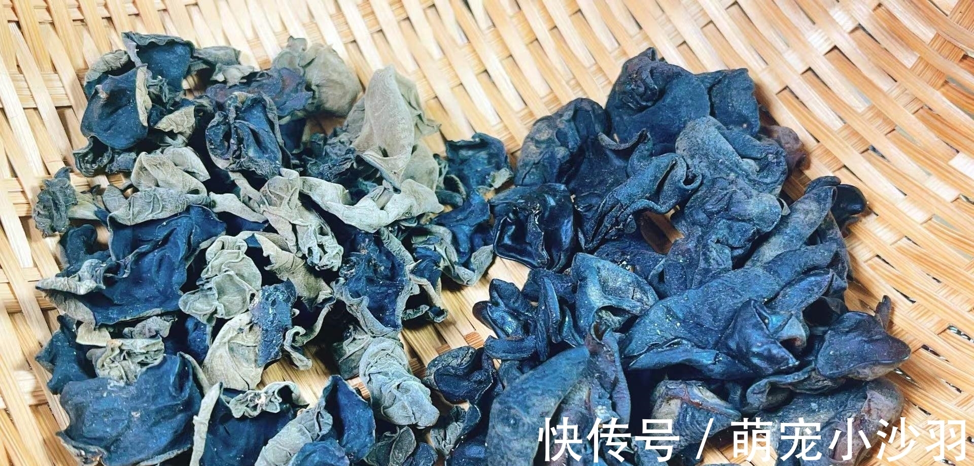 泡木耳时，用清水泡等于吃虫卵！厨师长教您一妙招，脏东西全跑光