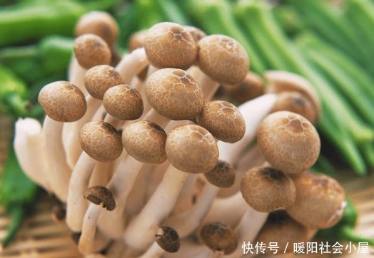 生病|夏天天热怎么过？常吃这5种食物可增强免疫力，身体强健不生病！